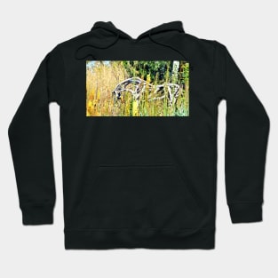 Grazing Wooden Horse Hoodie